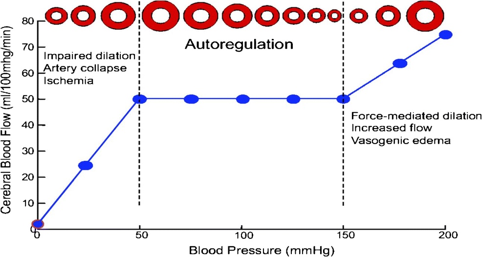 Cerebral autoregulation curve