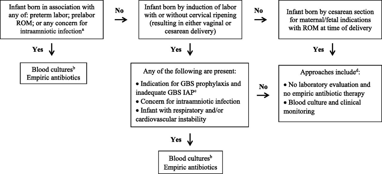 EOS risk assessment among infants born ≤34 weeks' gestation