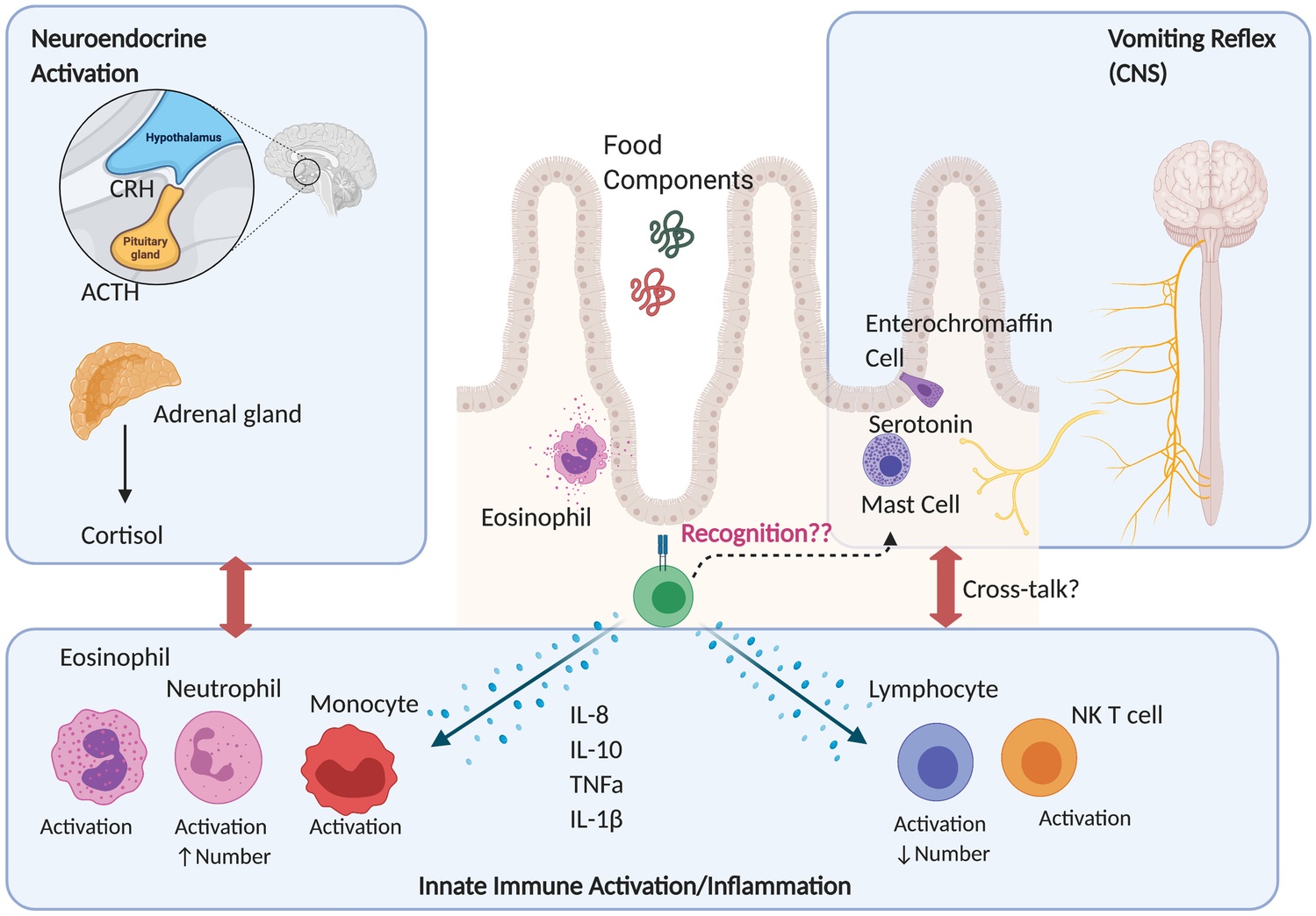 Current understanding of FPIES pathophysiology