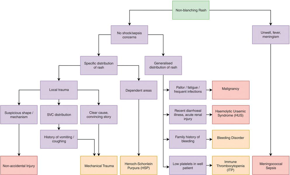Diagnostic algorithm for the presentation of non-blanching rash