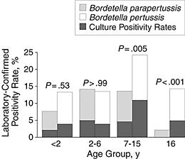 Age distribution of B. parapertussis vs B. pertussis whooping cough cases
