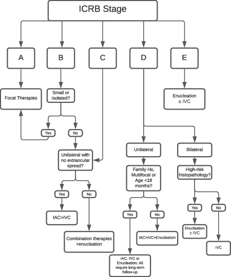 Different classification schemes for intraocular retinoblastoma confound comparison of outcomes